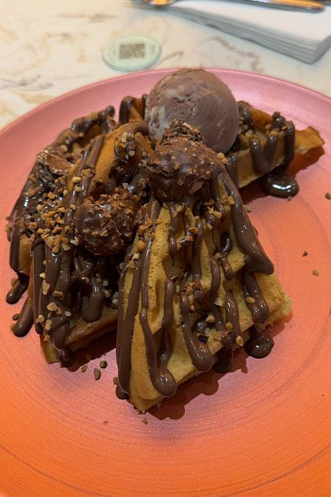 A plate of waffles covered in chocolate sauce.