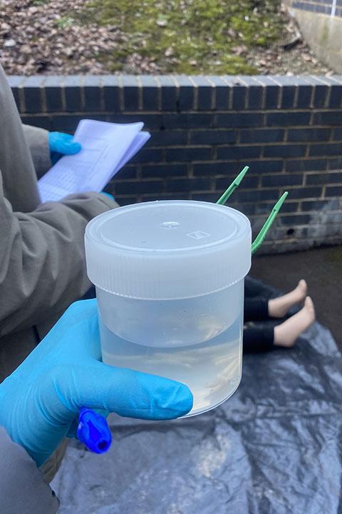 A gloved hand holding a sample pot in front of a simulated crime scene.