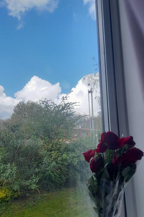 A vase of roses sat on a windowsill.