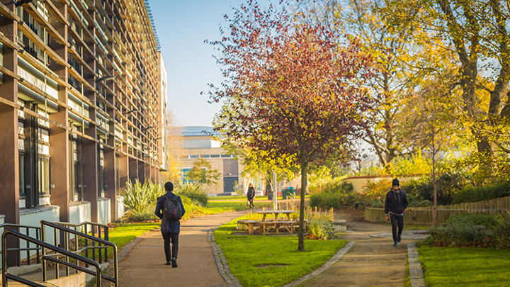 People walking in the Peace Garden on an Autumn day