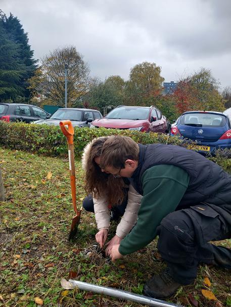 A student and Gardner planting tree in University of Bradford