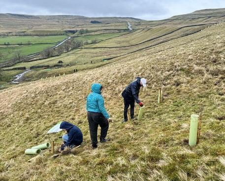 Students planting trees on Yorkshire Dales