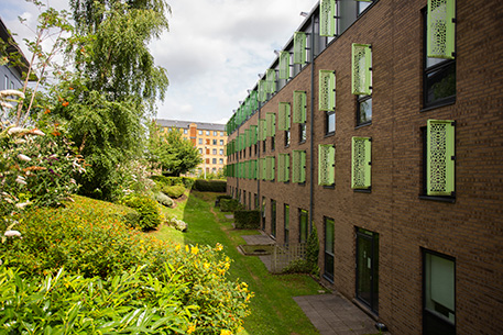 External shot of The Green Accommodation building, next to sunlit trees
