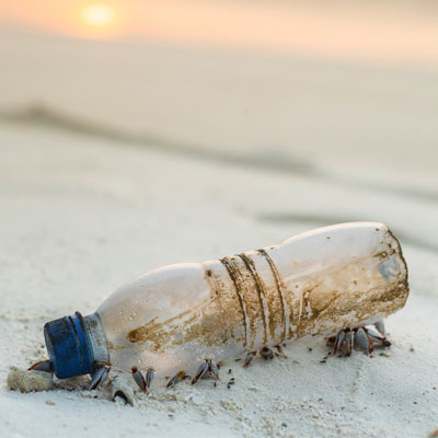 A discarded used plastic bottle.