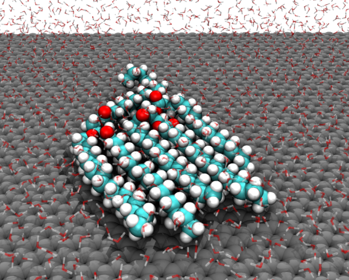 Molecular dynamics simulations of triacylglycerol lipid molecules adsorbed at the aqueous graphene interface. The hydrophobic lipid tails align with each other. The oxygen, carbon and hydrogen atoms of the lipids are coloured red, cyan and white, respectively, while the graphene surface is coloured grey. Water molecules are shown as transparent