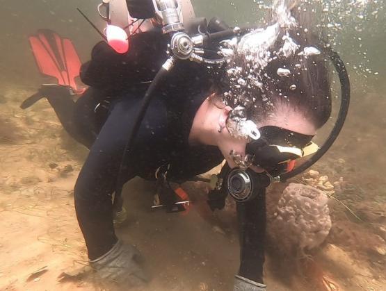 a person wearing diving equipment at the ocean bed carrying out archaeological research work