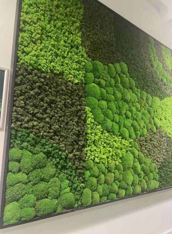 a patchwork display of green moss on the wall of a building