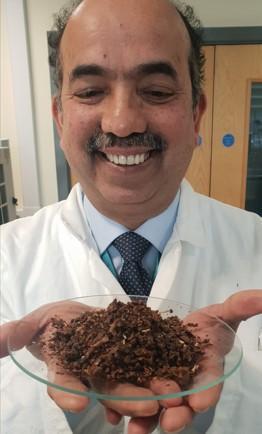 Professor Anant Paradkar with a plate of propolis, made from beehives